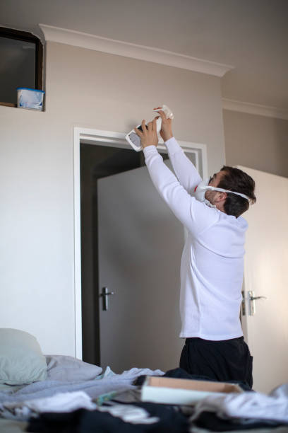 Best Asbestos and Lead Testing During Mold Inspection  in Brandywine, MD