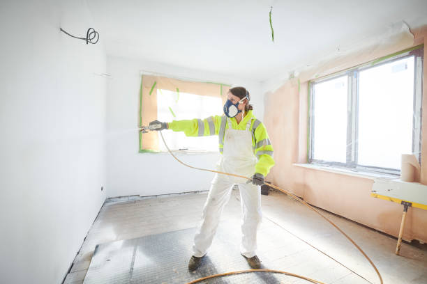 Best Post-Construction Mold Inspection  in Brandywine, MD