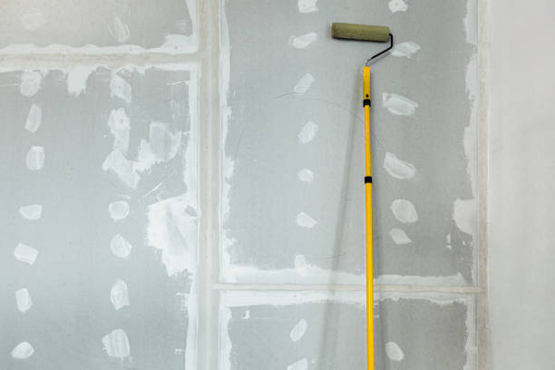 Forensic Mold Investigation in Brandywine, MD