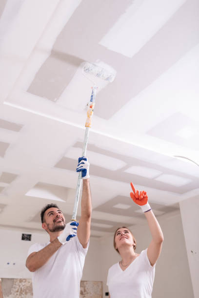 Best Water Damage & Mold Remediation  in Brandywine, MD