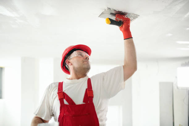  Brandywine, MD Mold Removal Pros
