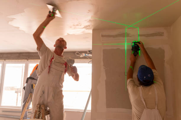 Best Emergency Mold Remediation  in Brandywine, MD