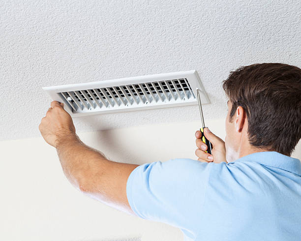 Biohazard Mold Removal in Brandywine, MD