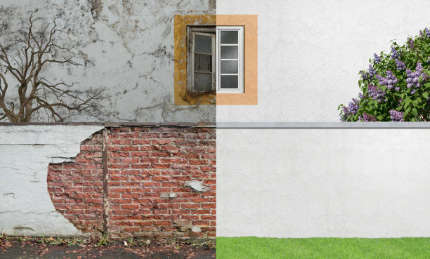 Best Mold Odor Removal Services  in Brandywine, MD