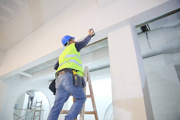Best Real Estate Mold Inspection  in Brandywine, MD