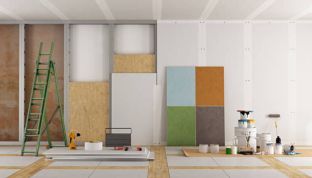 Brandywine, MD Mold Removal Company
