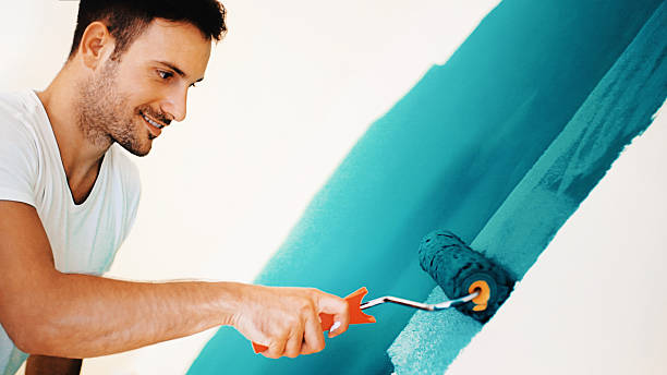 Best Attic Mold Removal  in Brandywine, MD